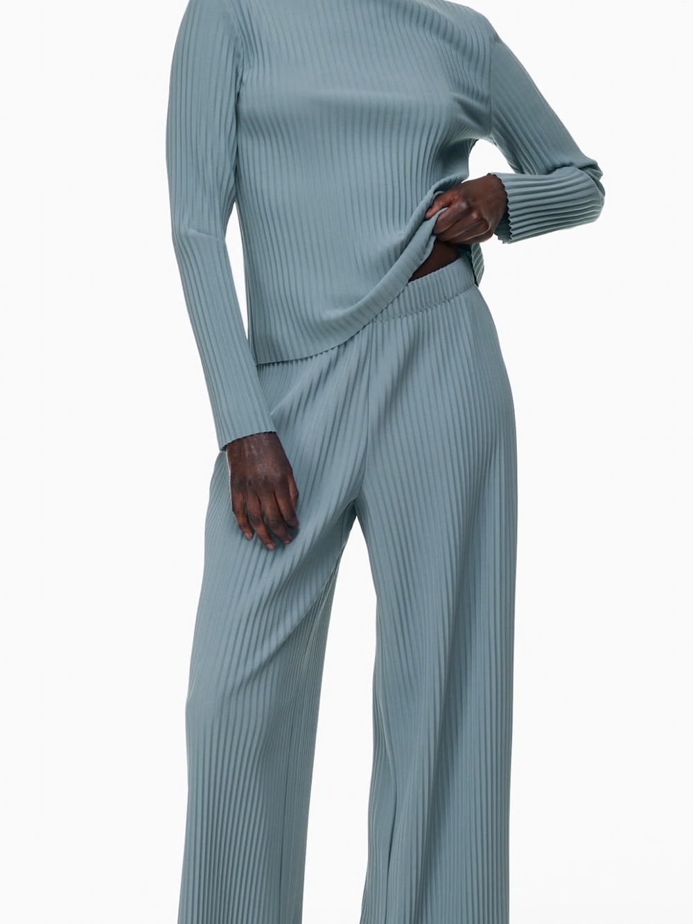 Aritzia Babaton Skilled pants